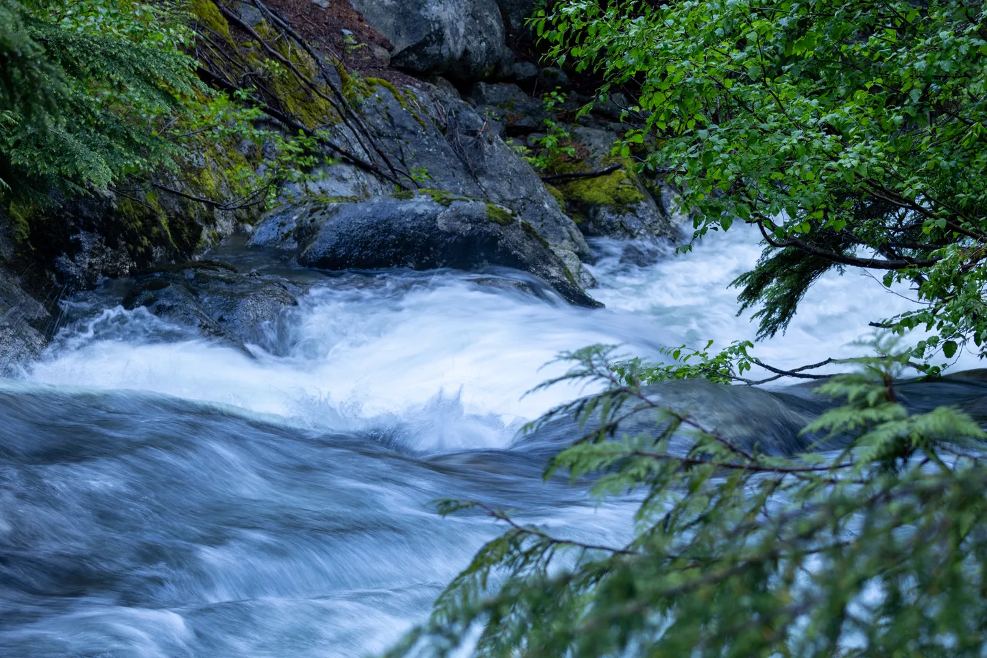 Whitewater rushing past mossy granite boulders.