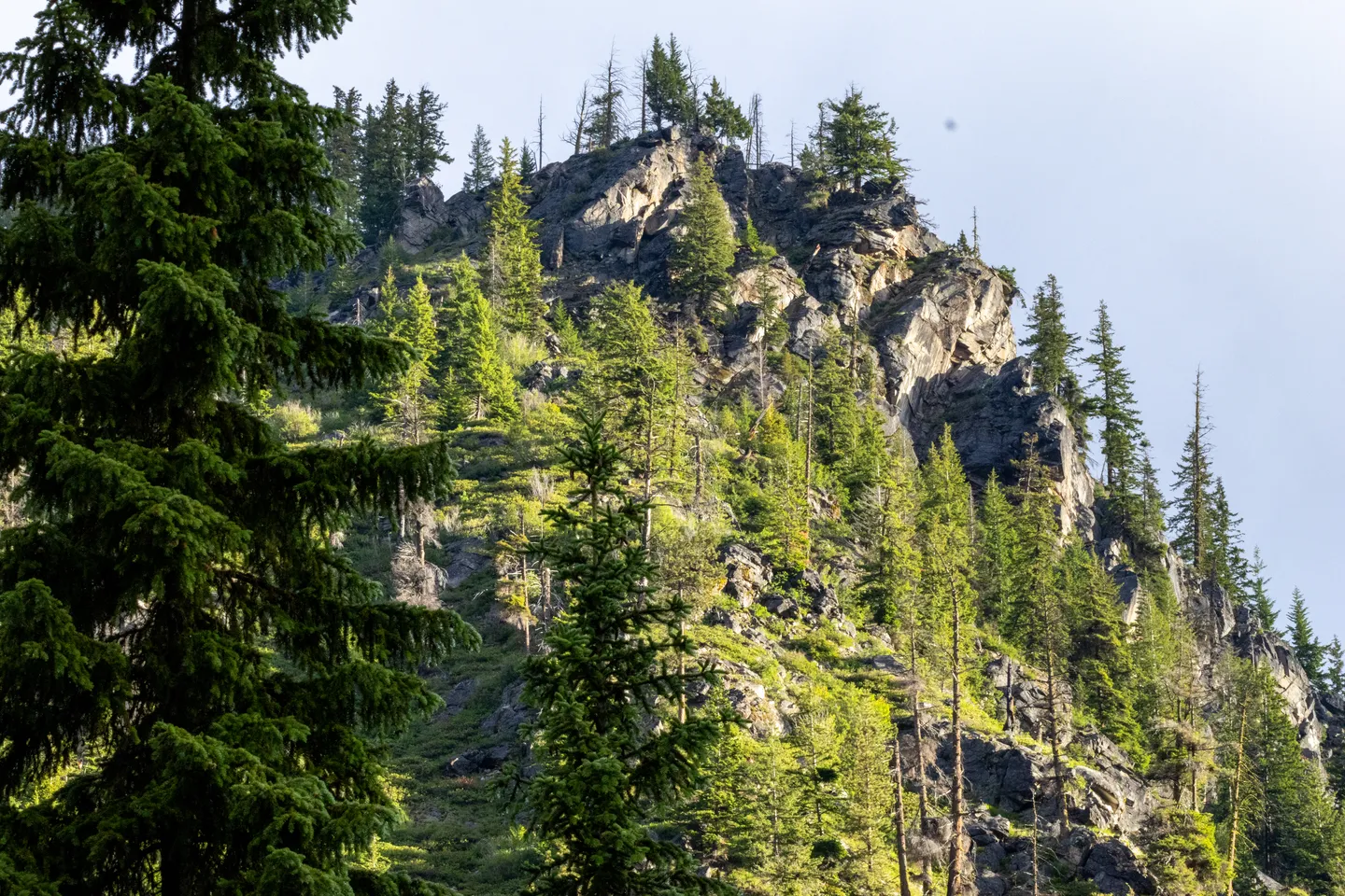 Granite cliff and conifer ridge in golden-hour light.